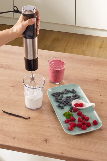 HAND BLENDER HBX1000EB GOR