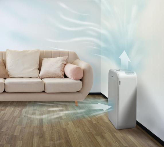 AIR PURIFIER AP350 FLEXIAIR GOR